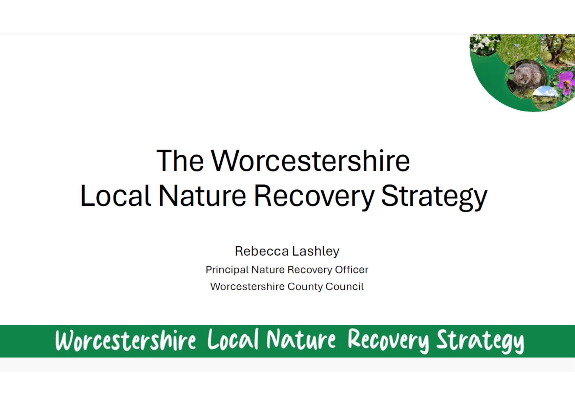 Local Nature Recovery Strategy